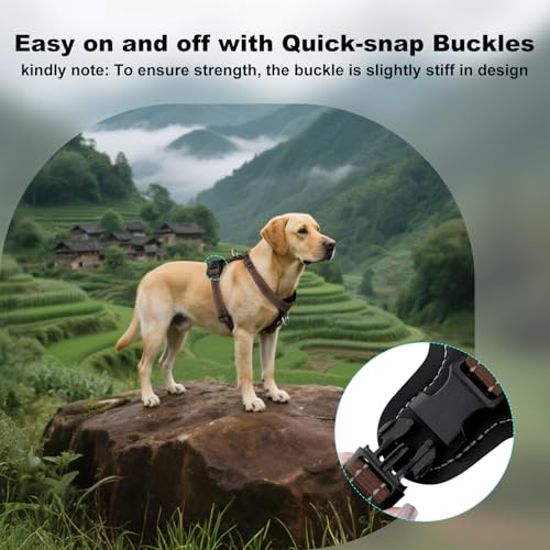 Plutus Pet Adjustable No Pull Dog Harness with Leather Accents, Heavy Duty Reflective Nylon Vest for Training, Hiking, Eas...