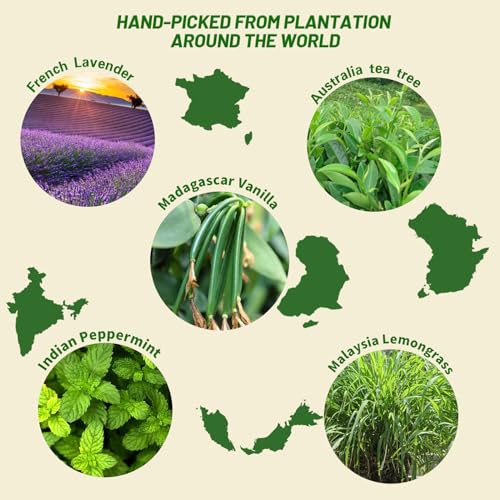 MISIJI Essential Oils Set Top 6 Aromatherapy-Essential Oils for Diffuser for Home,Air Freshening Diffuser Oils Scents for ...