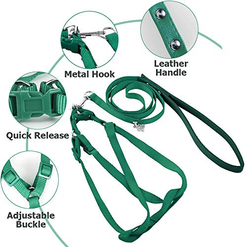 ASOCEA Adjustable Bird Harness and Leash for Yellow Naped Amazons Galah Cockatoos Small to Medium Breed Parrots Fits Birds...