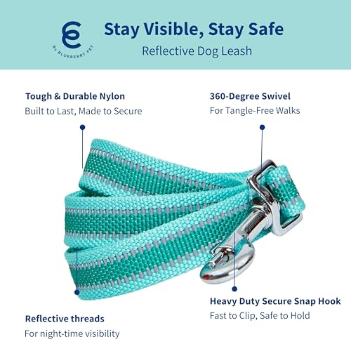 Blueberry Pet Essentials Reflective Back to Basics Matching Dog Harness and Leash Set, Minty Green, Adjustable Harness wit...