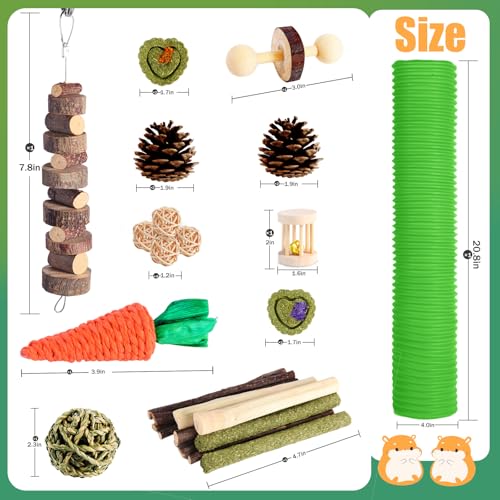Kyouki Hamster Toys Guinea Pig Toys Set with Tunnel, Chewable Apple Wood & Natural Timothy Hay - Enrichment Chew Toys for ...