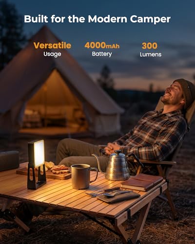 Portable Camping Light, 2 Pack Rechargeable 4000mAh Dimmable LED Camping Lanterns with 360° Rotatable Stand, 2-in-1 Flashl...
