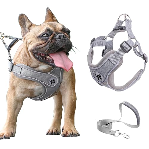 Small Dog Harness and Leash Set,No Pull Adjustable Step in Soft Mesh Vest Harness,Easy Walk Reflective Pet Harness with Pa...