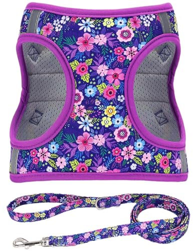 Moonpet Step in Dog Harness Leash Set- All Weather Reflective No-Pull Floral Pattern Padded Mesh Vest Harness for Cats Pup...
