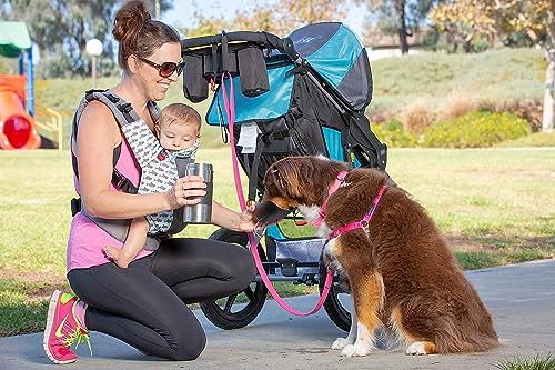 PetFusion Portable Dog Water Bottle & Dispenser (New-Large 22oz Dispenser) Insulated 2 Wall Stainless Steel- Optimal Cool ...