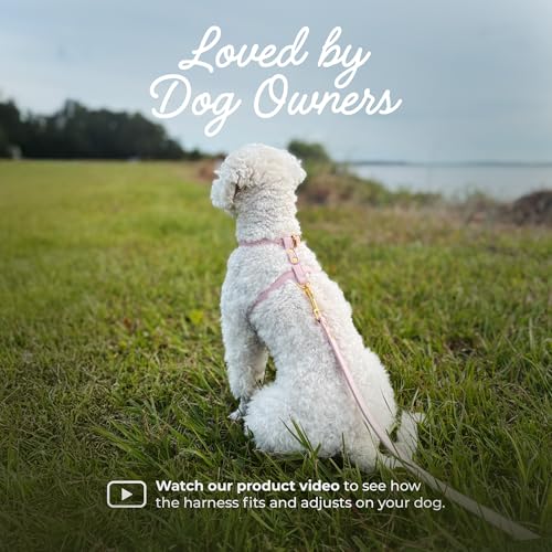 Luxury No Pull Dog Harness and Leash Set, PU Leather Escape-Proof Design, Anti-Choke Comfort, Front/Back Attachment, Essen...