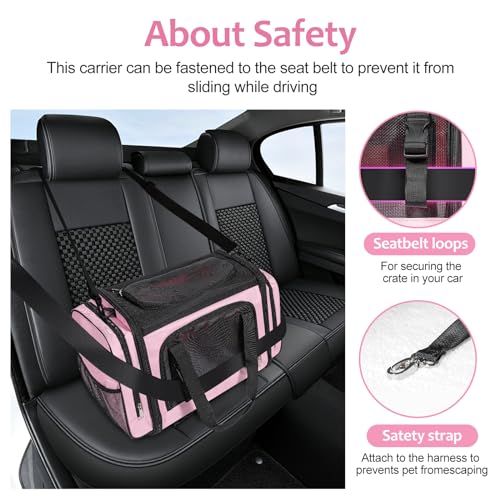 Large Cat Carrier, Pet Carrier, Dog Carrier for Small Dogs, Cat Carrier Soft, Collapsible Large Pet Carrier for Traveling ...