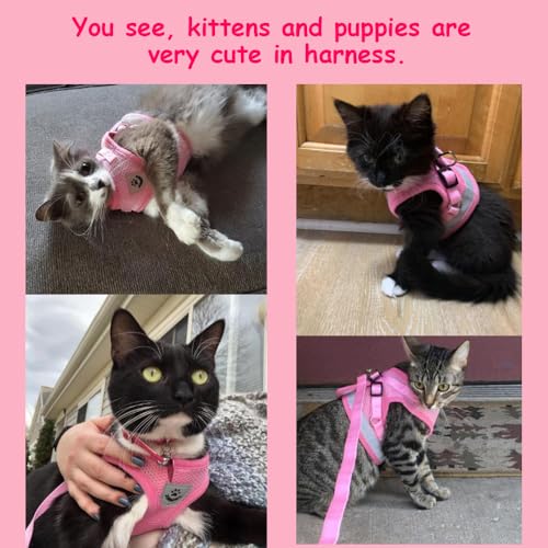 Cat Harnesses and Puppy Harness with Leashes Set, Escape Proof Cat Harness, Adjustable Reflective Soft Mesh Vest Fit Puppy...