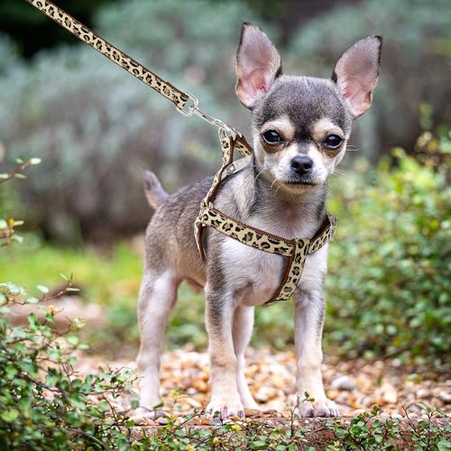 Mile High Life Leopard Dog Harness Collar Leash Set, Adjustable No Pull Dog Halter Harness for Small Breed Dogs, Easy Cont...