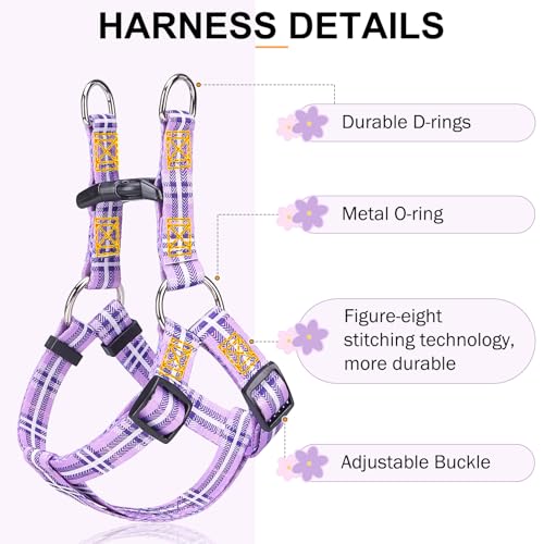 BEAUTYZOO No Pull Dog Harness and Leash Set - Adjustable Step-in Puppy Harness for Small Medium Large Dogs, Escape Proof S...