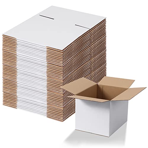 Calenzana 8x6x6 Shipping Boxes Set of 40, White Corrugated Cardboard Box for Mailing Packing Gifts Small Business