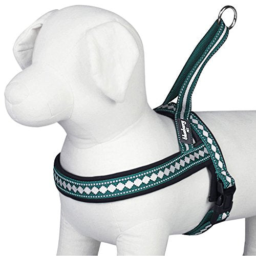 Blueberry Pet 6 Colors Soft & Comfy Jacquard Padded Dog Harness, Chest Girth 21.5" - 27.5", Teal Blue, S/M, Reflective Adj...