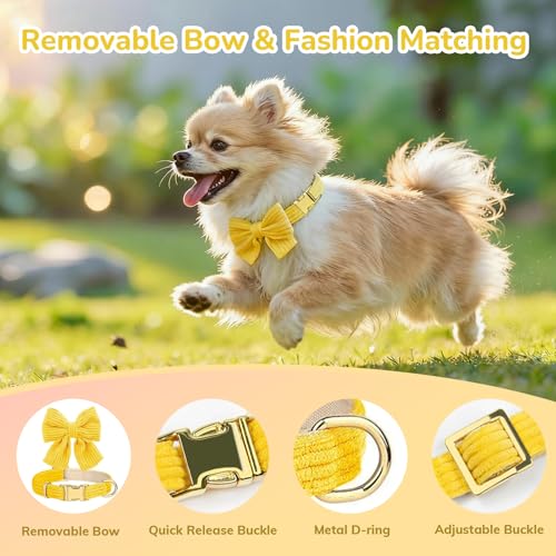 Small Dog Collar Harness and Leash Set, Dog Harness no Pull with Bowtie, Breathable Cotton Adjustable Pet Puppy Harness, E...
