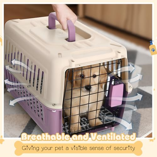Fiwochic 2 Set Hard Plastic Pet Carrier Breathable Dog Cat Kennel with Metal Door Bowl Grille Mat Pet up to 14 Lbs Carrier...