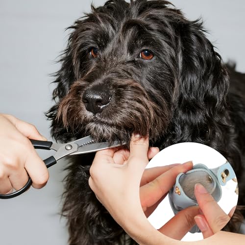 2pcs Pet Hair Collector Keychain, Paw Shaped Pet Fur Collection Memorial Keyring with Photo Holder DIY Keepsake Key Ring B...
