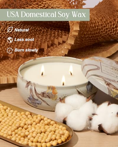 M&SENSE 3 Wick Soy Candles for Home Scented, 12oz Citrus & Sage Scented Aromatherapy Candle for Stress Relief, 40 Hour Bur...