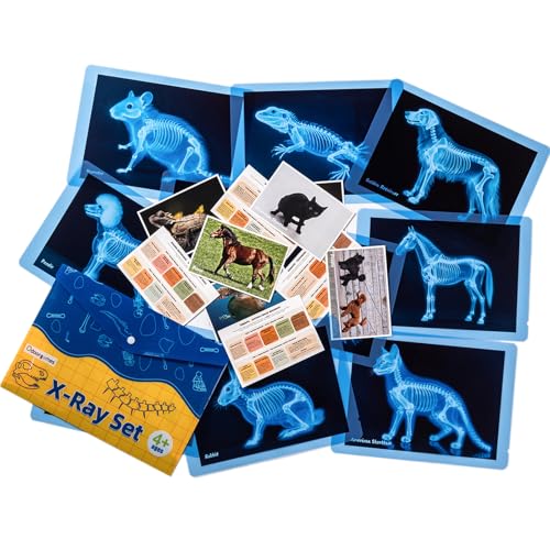 Odoorgames Pet Series Animal Xrays for Kids - Pet X-Rays Set, Light Table Manipulatives, Veterinarian Play Set & Dramatic ...