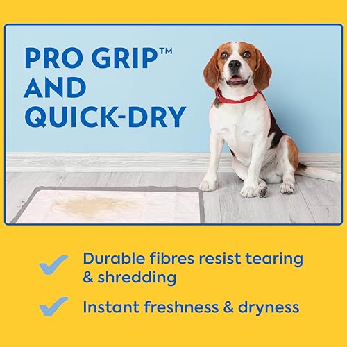 OUT! Petcare Puppy Pads XXL, Heavy Duty, Leak Proof Pee Pads for Dogs, Potty Training & Housebreaking, Puppy Essentials (2...