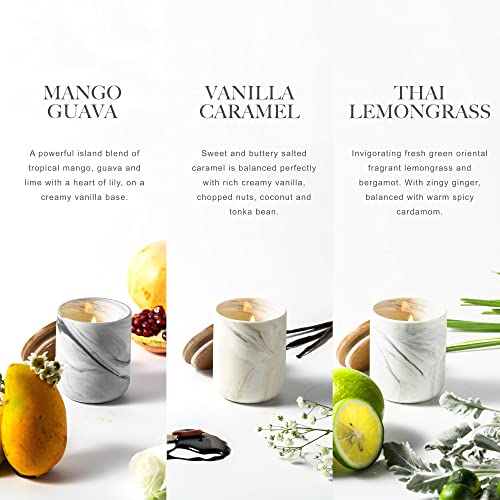 Candle Gift Set, 10% Essential Oil, 3 Pack-Thai Lemongrass,Vanilla Caramel,Mango Guava with Heat-Resistant Ceramic Jar, Sc...