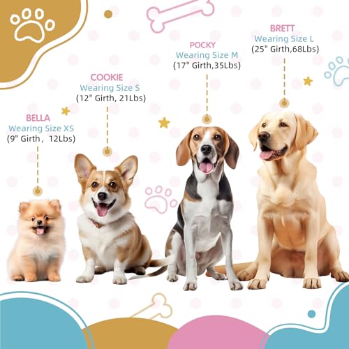 Pawhuggies Tri-Color Dog Harness - Adjustable Step-in No Pull Harness for Large Dogs, Heavy Duty, Easy Walking, Blue Pink