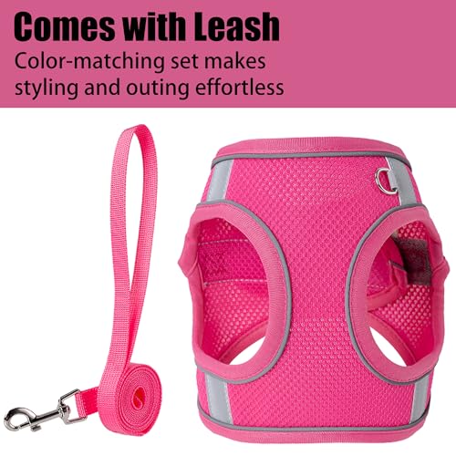 Aecllcea Dog Harness for Small Medium Sized Dog, Puppy Harness and Leash Set Training, Dog Harness and Leash Set, Dog Vest...