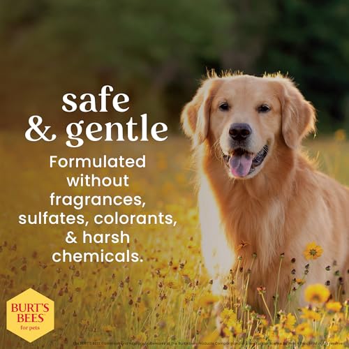 Burt’s Bees for Pets Oatmeal Dog Shampoo with Honey, Soothing Dog Shampoo for Itchy and Sensitive Skin, pH Balanced Formul...