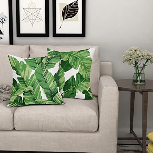 Tropical Palm Leaves Throw Pillow Covers 18x18 Inch Pack of 2 Summer Green Banana Leaf Pillow Covers Modern Outdoor Tropic...