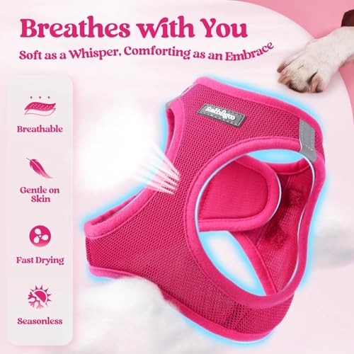 rabbitgoo Dog Harness Small Sized and Leash Set, Step in Soft Light Puppy Vest, Breathable Mesh Pet Harness, Reflective fo...