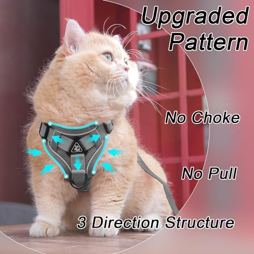 Cat Harness and Leash Set, Upgraded Escape Proof Adjustable Vest with Lead for Large Cat Small Dog Puppy Outdoor Walking, ...
