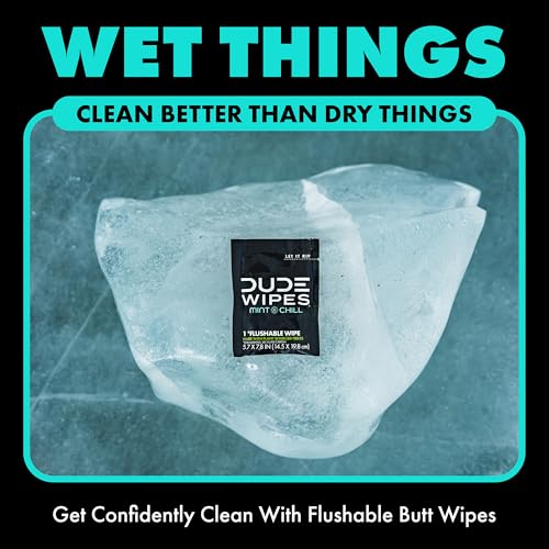 DUDE Wipes On-The-Go Mint Chill Travel Wipes - 30 Count (Individually Wrapped) - Extra-Large Adult Flushable Wipes - Infus...