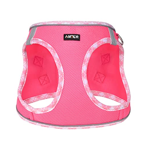 AMTOR Small Dog Harness with Leash Set, No Escape Easy Walk Puppy Harnesses for Training Walking, Step-in Reflective Soft ...