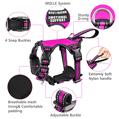 WINSEE Pet Harness Collar and Leash Set, All-in-one Reflective Dog Harness No Pull with Adjustable Buckles for Puppies, Sm...