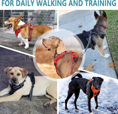 No Pull Dog Harness for Medium Dog with Dog Leash Adjustable Reflective Pet Vest with Front Clip Padded Harness and Lead S...