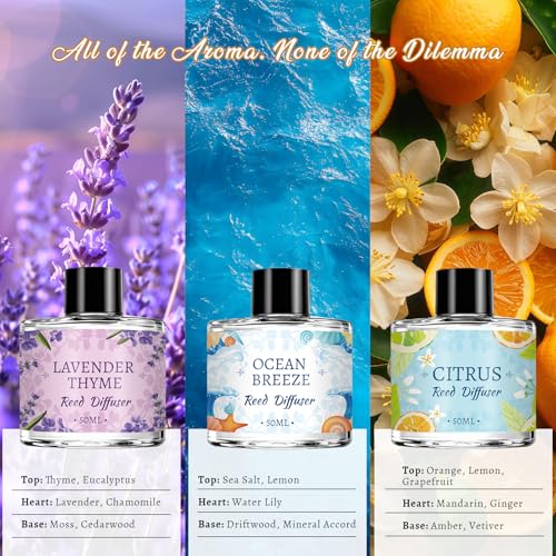 Vetuslumen 6 Pack Reed Diffuser Sets, Essential Oil Reed Diffusers for Home with 24 Sticks, Long Lasting Scent, Gift Ready...