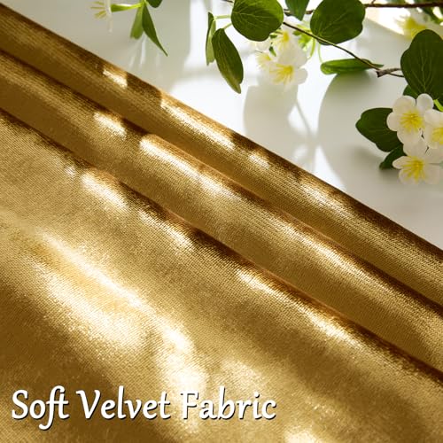 GIGIZAZA Gold Velvet Decorative Throw Pillow Covers,18x18 Pillow Covers for Couch Sofa Bed 2 Pack Soft Cushion Covers