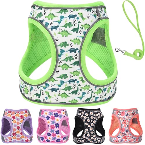 XS Dog Harness and Leash Set, Step in Dog Harness No Pull for Walking Running Training, Puppy Essentials for Dogs Cat Bunn...