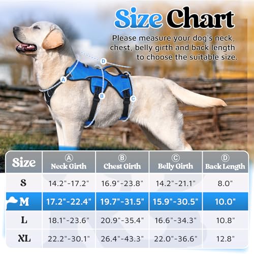 rabbitgoo Escape Proof Dog Harness, Soft Padded Full Body Pet Harness, Reflective Adjustable No Pull Vest with Lift Handle...