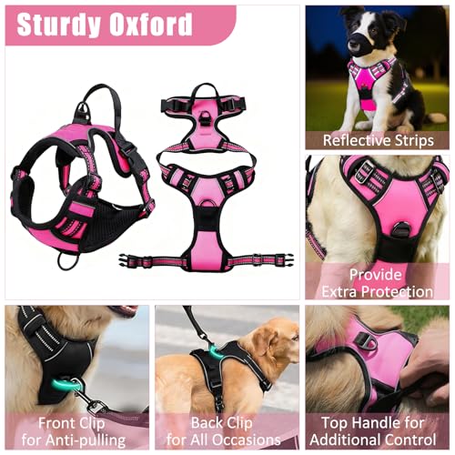 YXFDOYT No Pull Dog Harness Adjustable Collar & Leash Set - Dog Halter Harnesses Collapsible Bowls & Poop Bag Dispenser Mu...