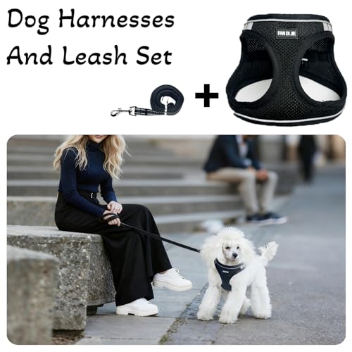Dog Harness and Leash Set, No Pull Soft Mesh Pet Harness -in Puppy Pet Vest Harnesses for XS,Small,Medium Dogs and Cats Bl...