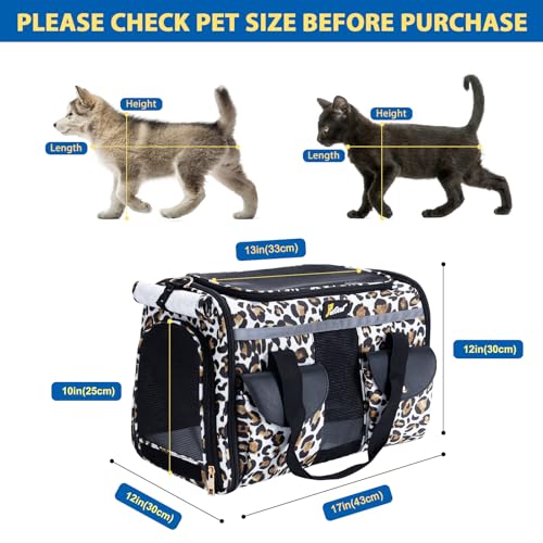 Petotw Pet Carrier for Small Dogs and Cats - Soft-Sided Travel Kennel, Portable Foldable Bag (Large)