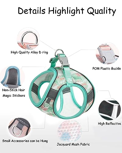 Aecllcea Dog Harness for Small Medium Dogs No Pull, Cat Harness and Leash Set, Step in Puppy Harness. (Green, S)