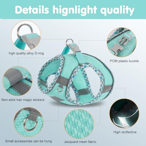 TomteNisse Dog Harness and Leash Set, No Pull Pet Harness for Small Dogs Easy Walking,Soft Breathable Small Dog Harness,Ad...