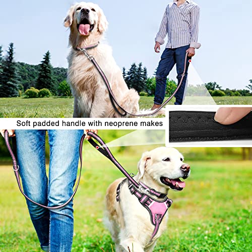 WINSEE Pet Harness Collar and Leash Set, All-in-one Reflective Dog Harness No Pull with Adjustable Buckles for Puppies, Sm...