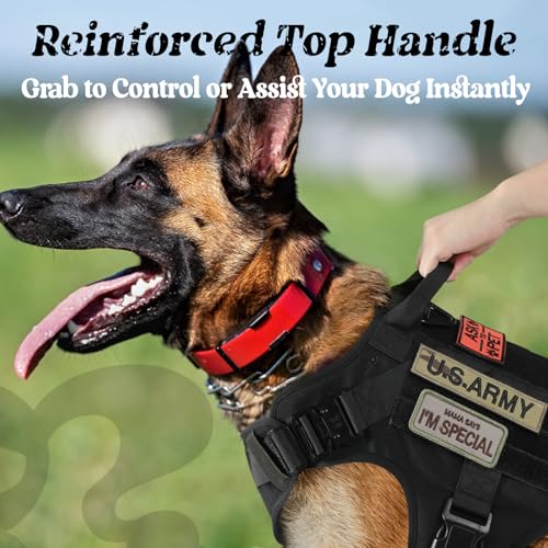 rabbitgoo Tactical Dog Harness for Large, Heavy Duty Pet Harness with Handle, No-Pull Service Vest Large Breed, Adjustable...
