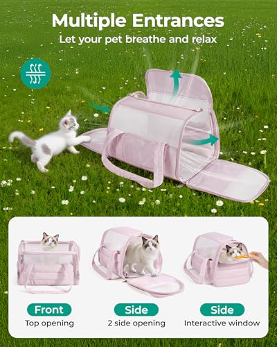 BAGSMART Cat Carrier: Soft-Sided Pet Carrier for Small Medium Cats Dogs Puppy Quilted Collapsible Puffy Travel Bag Up to 2...
