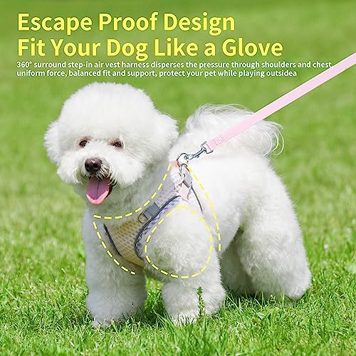 JOYPAWS Step in Dog Harness and Leash Set, No Pull Escape Proof Vest Harness with Soft Diamond Mesh and Reflective Bands, ...