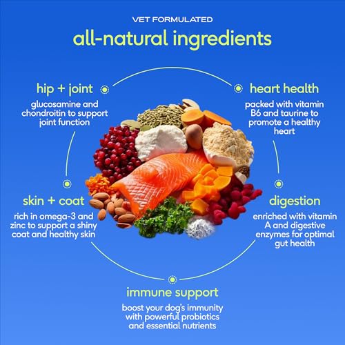 Native Pet The Daily Dog Vitamins & Supplements - 11-in-1 Multivitamin Powder for Dogs - Supports Whole Body Health, Diges...