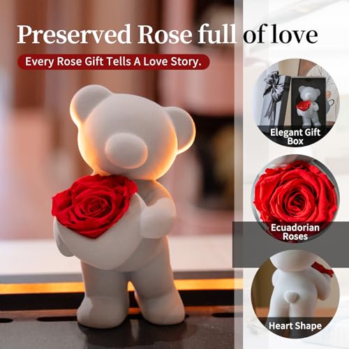 SEEROSE Preserved Rose with Cute Bear, Eternal Real Rose Last for Years, Romantic Flower Gift for Her, Wife, Girlfriend, V...