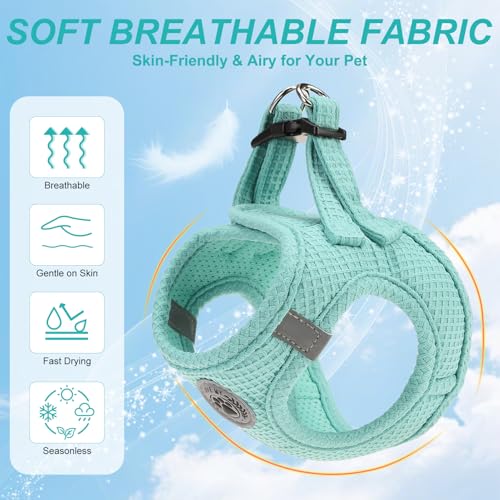 BEAUTYZOO Waffle Dog Harness Small Sized, No Pull Small Dog Harness and Leash Set, All Weather Soft Mesh Light Harness for...