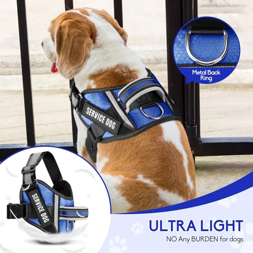 Service Dog Vest Harness and Leash Set, Animire in Training Dog Harness with 10 Dog Patches, Reflective Dog Leash with Sof...